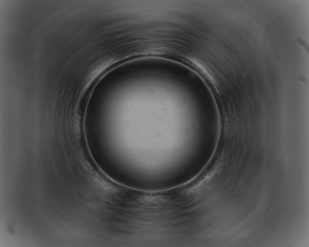 X0000092310835200709141351