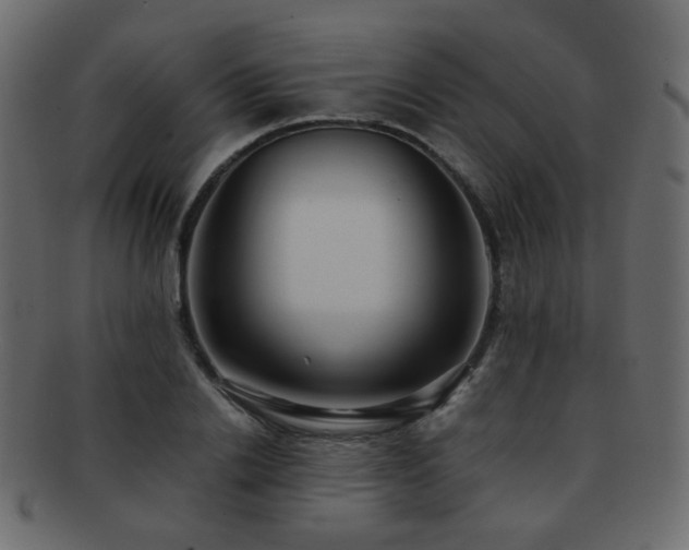 X0000092310838200709141351