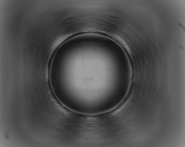 X0000092310839200709141351