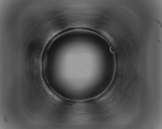 X0000092310840200709141352