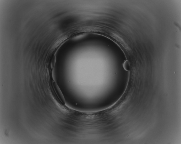 X0000092310841200709141352