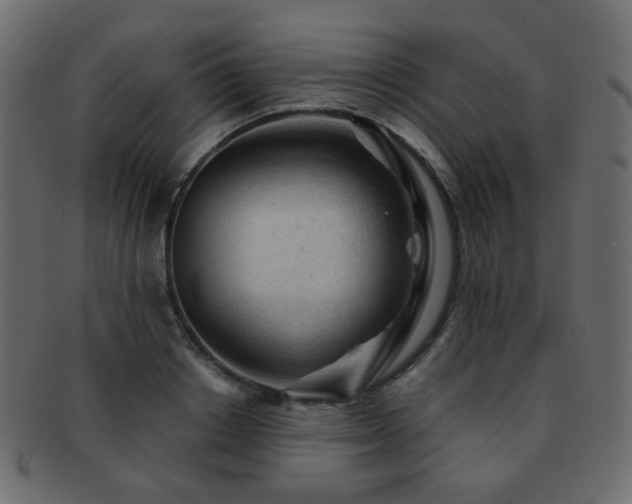 X0000092310842200709141352