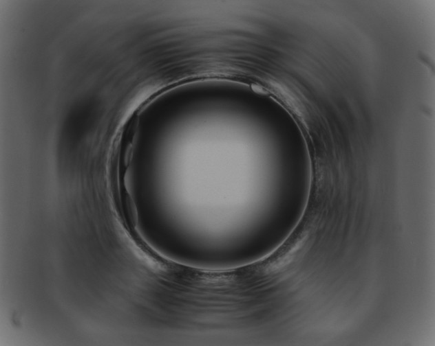 X0000092310843200709141352