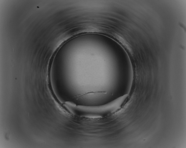 X0000092310845200709141352