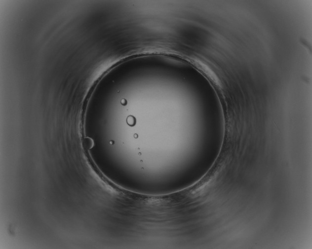 X0000092310847200709141352