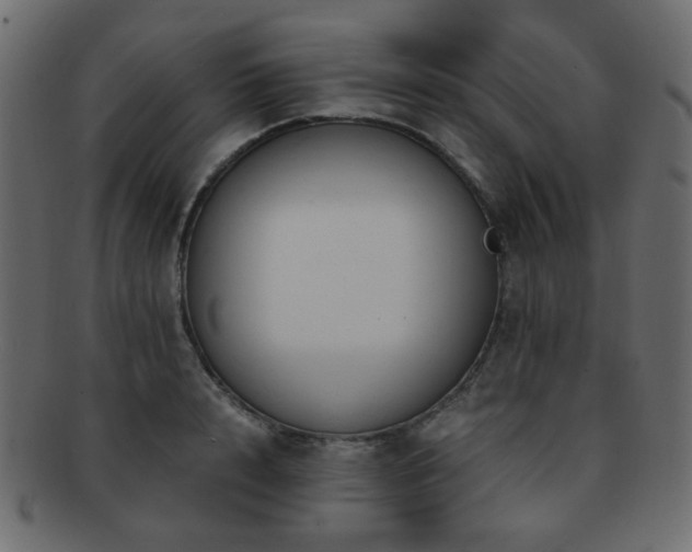 X0000092310848200709141352