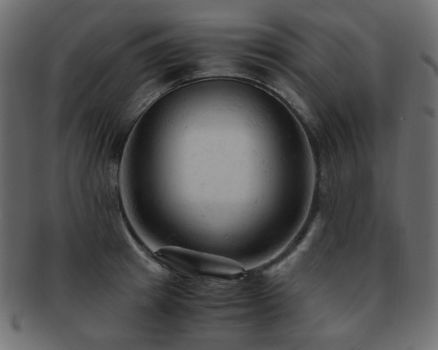 X0000092310849200709141352