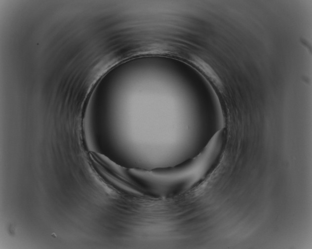 X0000092310850200709141352