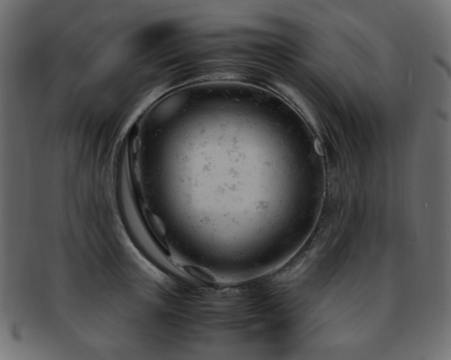 X0000092310851200709141352