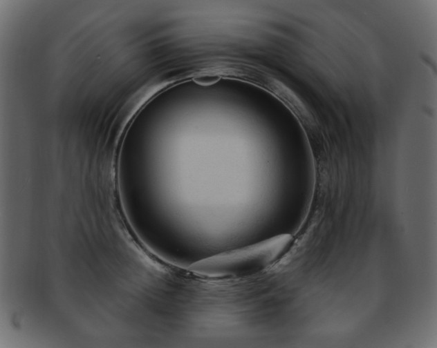 X0000092310852200709141352