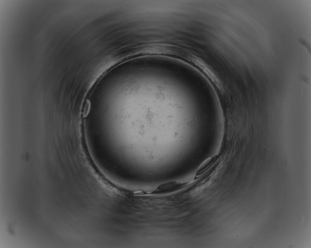X0000092310853200709141352