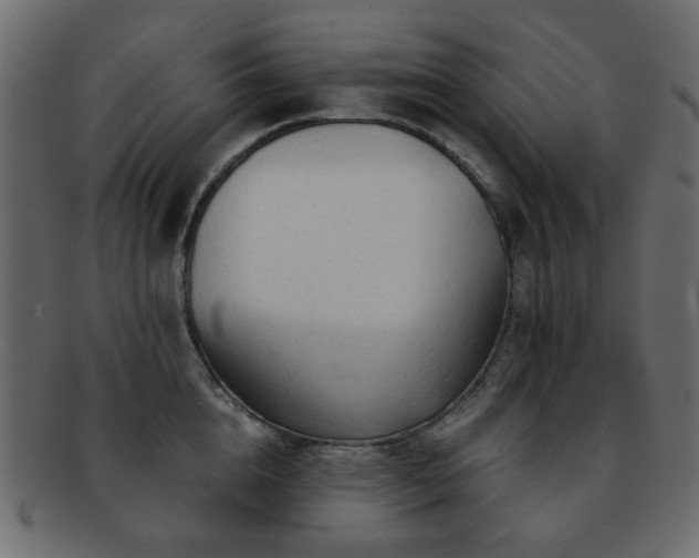 X0000092310856200709141352