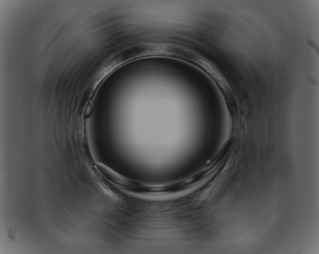 X0000092310858200709141352