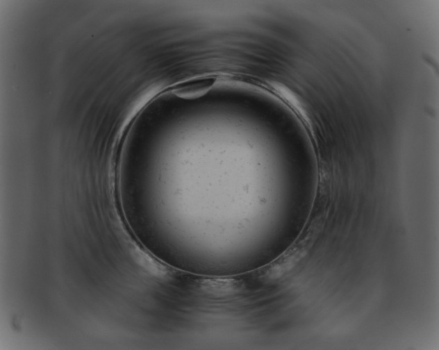X0000092310859200709141352