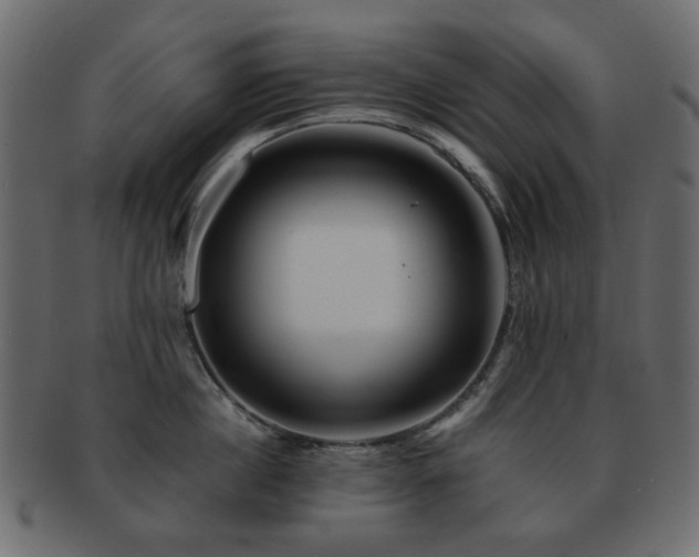 X0000092310860200709141352