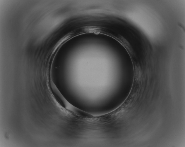 X0000092310861200709141352