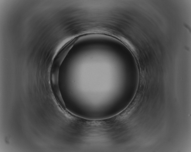 X0000092310862200709141352