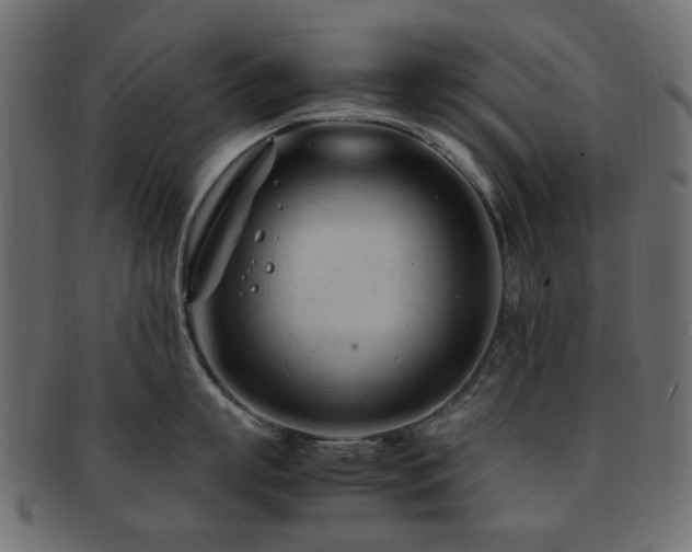 X0000092310863200709141352