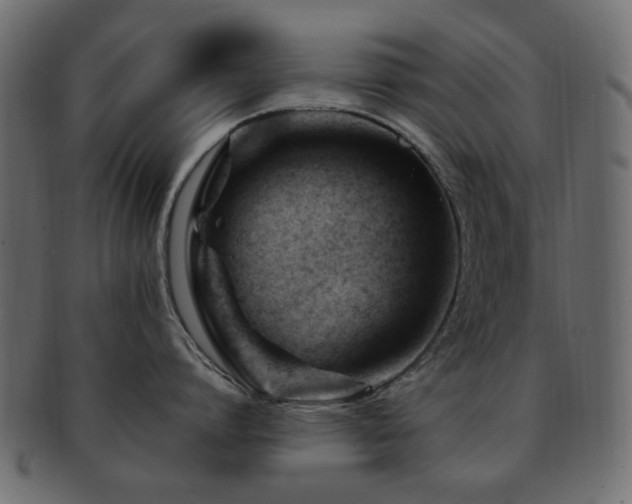 X0000092310864200709141352