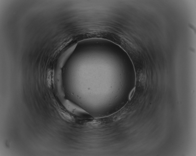 X0000092310868200709141351