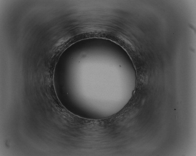 X0000092310869200709141351