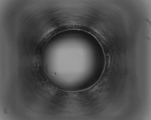 X0000092310870200709141351