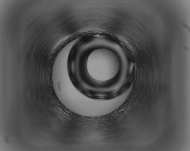 X0000092310872200709141351