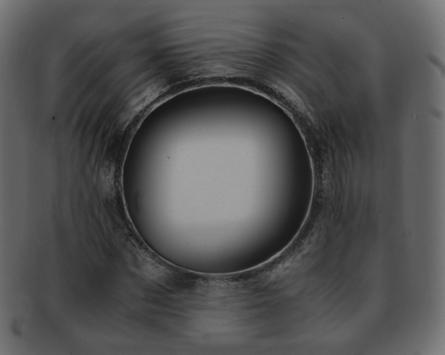 X0000092310873200709141351