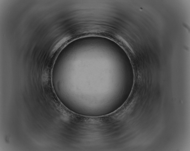 X0000092310874200709141351