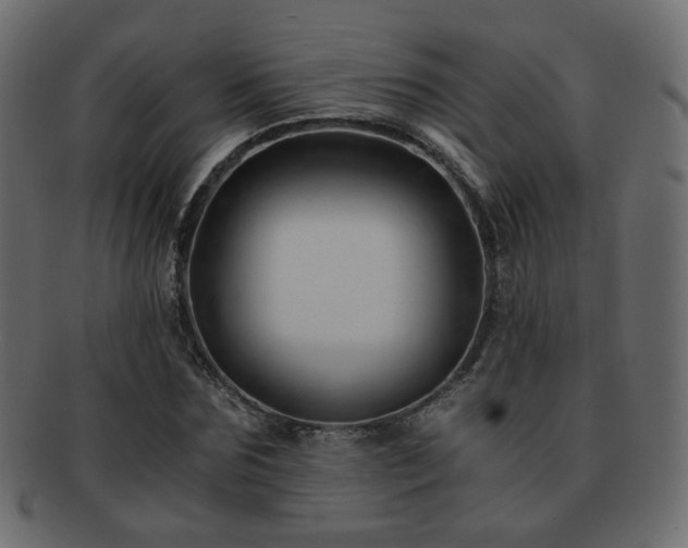 X0000092310875200709141351