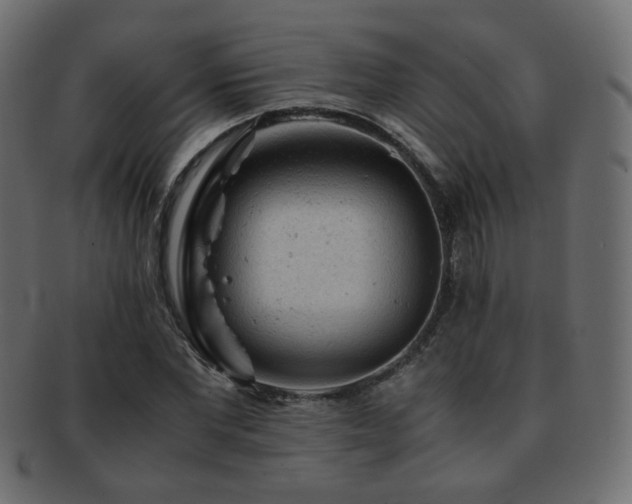 X0000092310877200709141351
