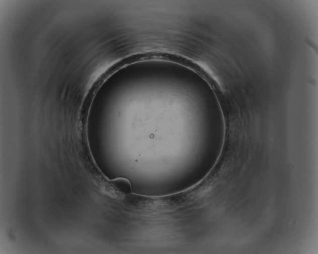 X0000092310879200709141351