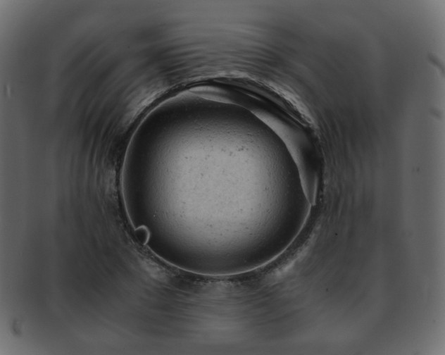 X0000092310881200709141351