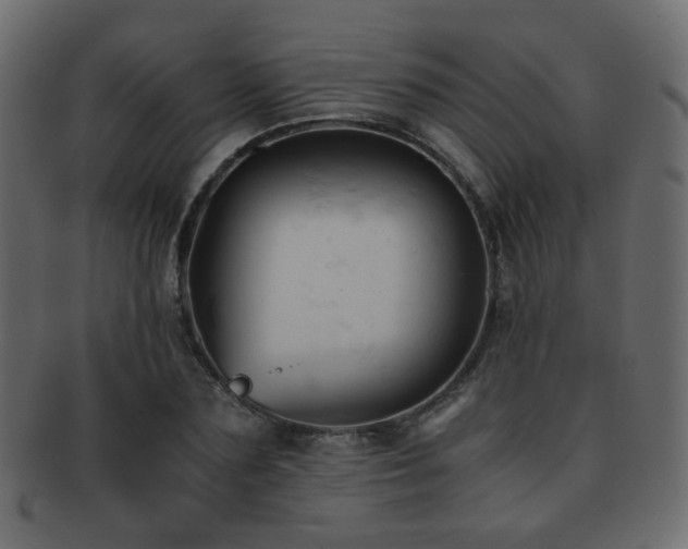 X0000092310883200709141351