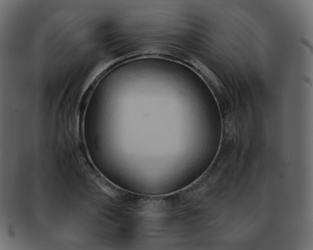 X0000092310886200709141351