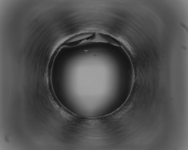 X0000092310888200709141351