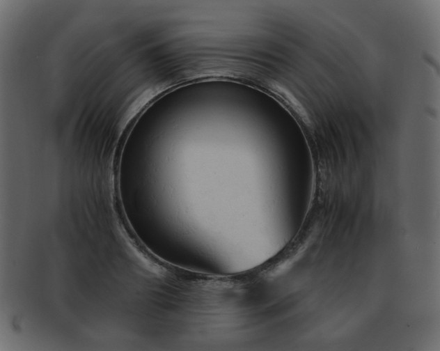 X0000092310890200709141351
