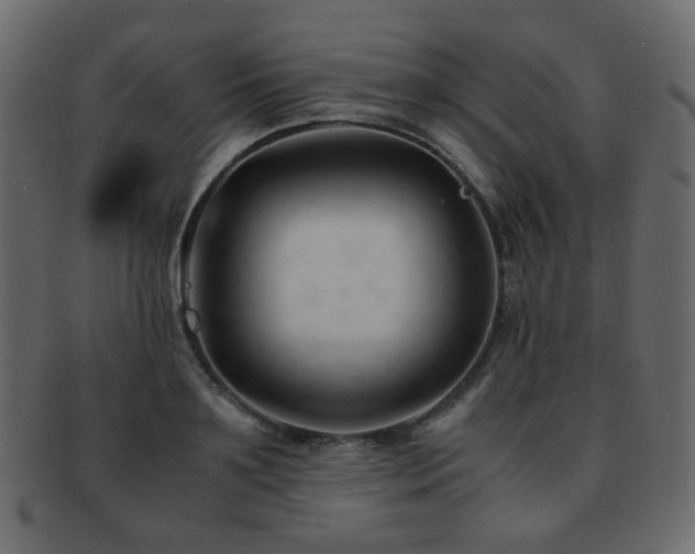 X0000092310891200709141351