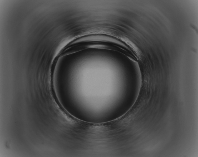X0000092310894200709141351