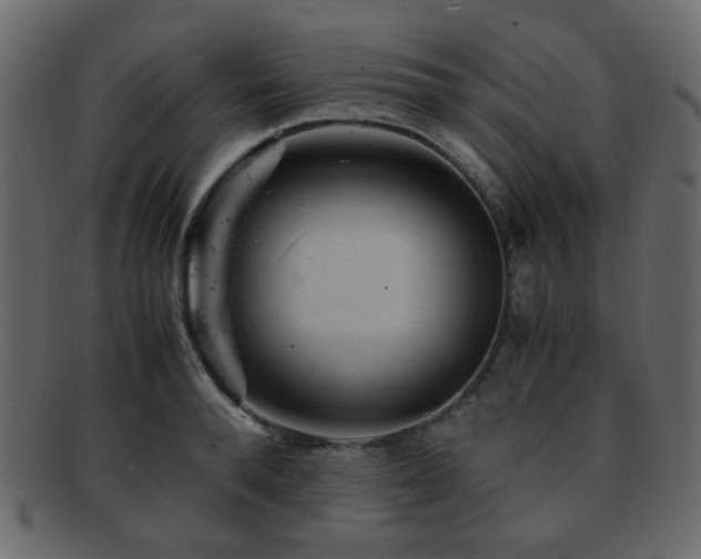 X0000092310896200709141351