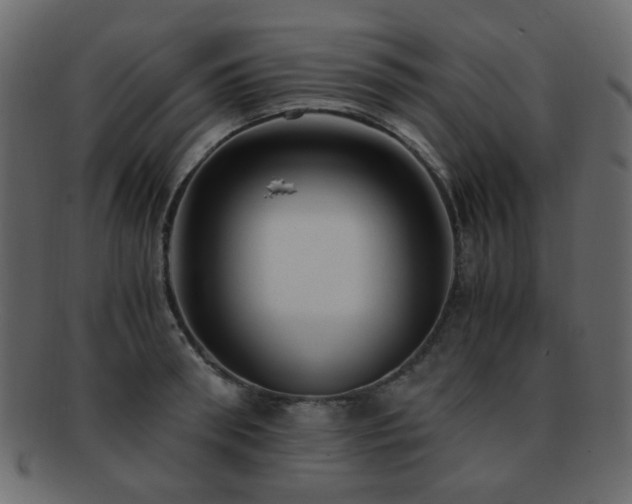 X0000092310898200709141351