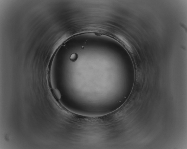 X0000092310899200709141351