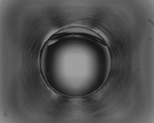 X0000092310902200709141351