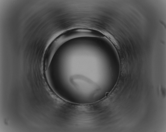 X0000092310904200709141351