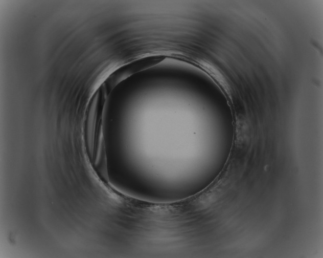 X0000092310906200709141351