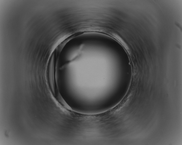 X0000092310909200709141351