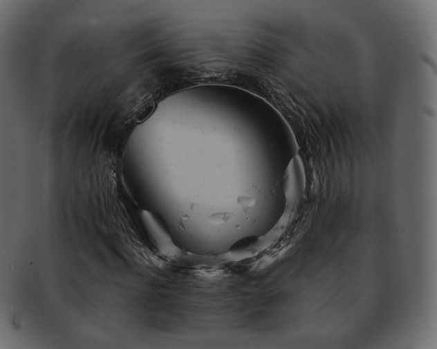 X0000092310916200709141350
