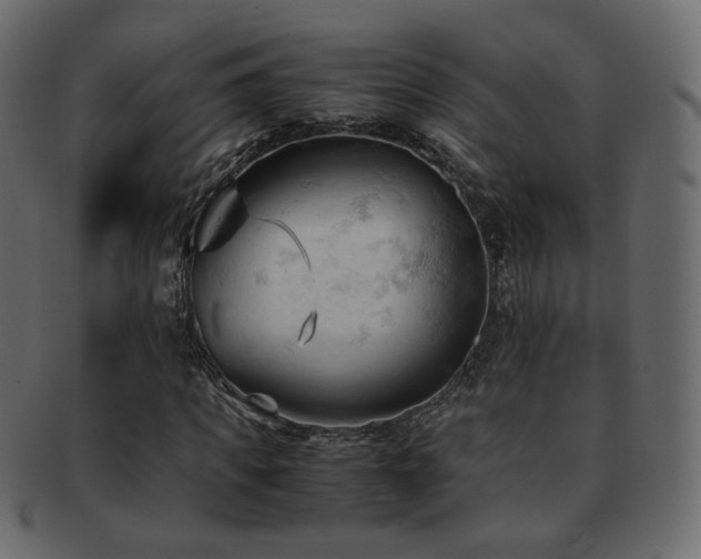 X0000092310917200709141350