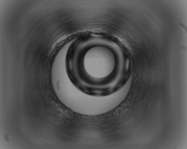 X0000092310920200709141350