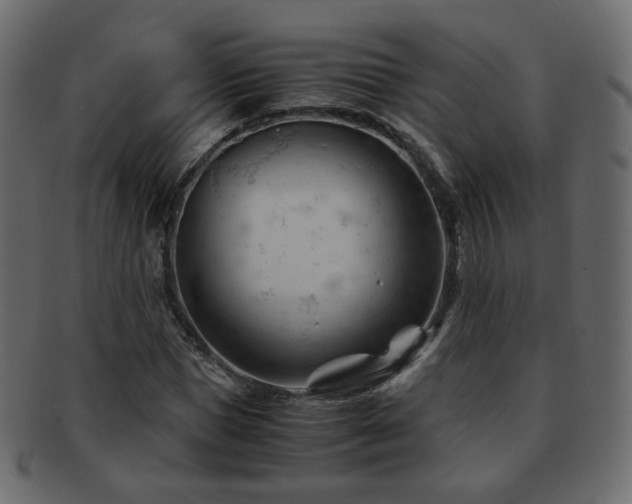 X0000092310921200709141350